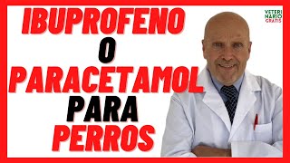 ⛔️ IBUPROFENO o PARACETAMOL ⛔️Antiinflamatorios para Perros sin Receta de Uso Humano ⛔️ Dosis [upl. by Redd]