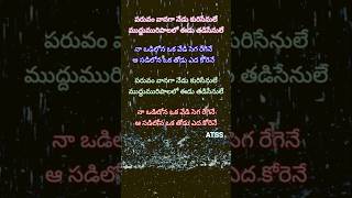 Paruvam Vanaga Nedu Kurisenule Roja Telugu Movie Song Lyrics [upl. by Aniuqahs]