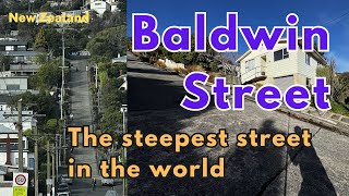 Baldwin Street Exploring the steepest street in the world Dunedin New Zealand [upl. by Aenel395]