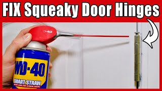 How To Fix Squeaky Door Hinges with WD40  Fast and Easy [upl. by Ardnassela267]