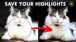 Overexposed Highlights Insane Detail Recovery Trick in Luminar Neo [upl. by Lettig]