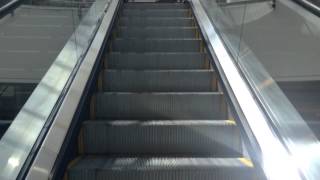 Kone Escalators At Macys Mall At Millenia In Orlando FL [upl. by Husha]