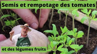 Les semis et le rempotage des tomates [upl. by Dorri]