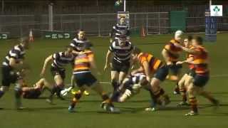 Irish Rugby TV Lansdowne v Terenure College Highlights [upl. by Gaby]