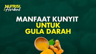 Kunyit Kaya Manfaat Atasi Gula Darah Tinggi Maag Hingga Cegah Kanker  Nutrisi amp Herbal [upl. by Elbam189]