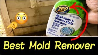 ✅Best Mold Remover👊  How to Get Rid of Mold Mildew Black Mold on Walls Tile Ceiling Part 1 [upl. by Psyche947]