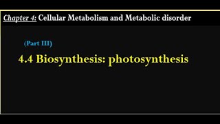 General Biology Biosynthesis Photosynthesis [upl. by Luiza]