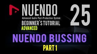 BUSSING amp BOUNCING FUNCTION IN NUENDO  NUENDO ADVANCE TUTORIAL IN HINDI  PART 25 [upl. by Manara]