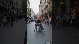 Monster spider shorts viralvideo [upl. by Enegue469]