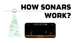 Everything You Need to Know About How Sonars Work [upl. by Sunshine]