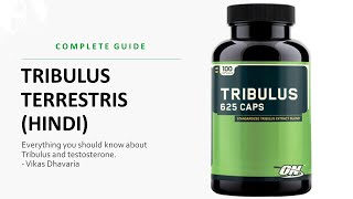 Tribulus Supplement  A Complete Guide in Hindi [upl. by Newg]