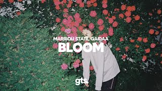 Maribou State Gaidaa  Bloom [upl. by Neelik690]