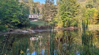 Baignade dans les Laurentides ♥️♥️♥️ [upl. by Netsoj]