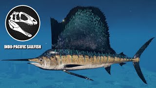 IndoPacific Sailfish  JWE 2 Mods 4K 60FPS [upl. by Lizzy321]