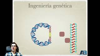 05  Genética Molecular Ingeniería genética y transgénicos Biología y Geología 4º de ESO [upl. by Yenoh764]