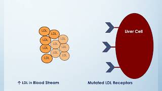 Oncogenesis  2nd Year MBBS  Lecture 02 [upl. by Boyes]