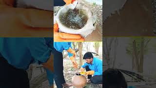 Natural pesticidepestcontroldeerghaayushnaturalfarmingorganicfarming [upl. by Herculie]