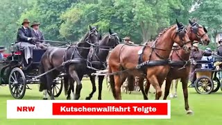 Kutsche fahren auf der Kutschenwallfahrt in Telgte 2018 [upl. by Anitsenre915]