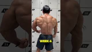 WEEK 4 BODY TRANSFORMATION 🔥💪🏻 chrisputra gym gymmotivation china proshow transformation [upl. by Barrington593]