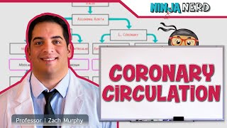 Circulatory System  Coronary Circulation [upl. by Waldron291]