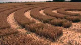 Crop Circle July182010 Gloucestershire UK [upl. by Paula]