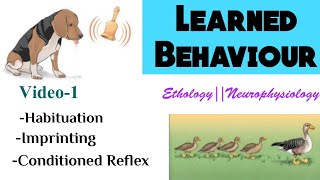 1Learning and MemoryLearned BehaviourTypes of learningHabituationImprintingConditioned Reflex [upl. by Ingeberg826]