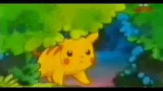 Pikachu Noctowl Emolga and Snivy amv Skyscraper collab with Pika20289 [upl. by Avivah]