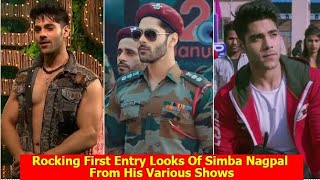 Rocking First Entry Looks of Simba Nagpal From Various Serials  Naagin 6  Rishabh Gujral  Virat [upl. by Ntsud590]