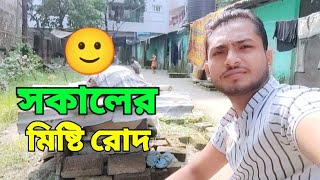 আমাদের গাছের বেগুনের বেগুনি এবং পাতাকপির বড়া খেলাম 😋 lifestylevlog familyvlog food vlog [upl. by Drobman18]