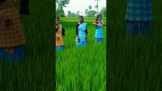 DENAJPUR DANCE SANTHALI VEDIO  DANCE RE NAWA SONG RE ENEC [upl. by Thenna]