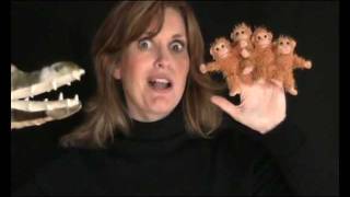 5 Little Monkeys Song  Le 5 piccole scimmiette canzone per bambini in inglese [upl. by Mosora]