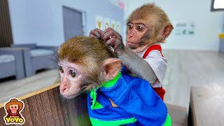 Smart YiYi helps grandpa take care of poor monkey [upl. by Einhpets]