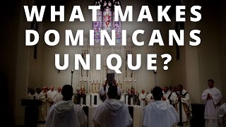 This is What Makes Dominicans Unique [upl. by Richie]