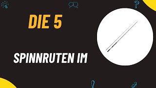 Die 5 Besten Spinnruten im Test 2024 [upl. by Hayyikaz]