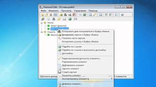 2 Менеджер паролей Password Safe [upl. by Hamer]