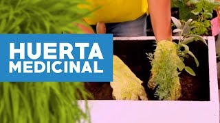 ¿Cómo hacer una huerta medicinal [upl. by Ahen]