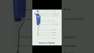 Parts of pipette bfuhs motivation nursingeducation iconnursing mmbs viva [upl. by Ecyrb]