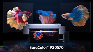 SureColor P20570 64inch Professional Printer  The Art of Performance [upl. by Wrennie93]