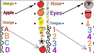 Matching for kids ABCD MATCHING Counting Body parts Matching fruits matching kids Basic Learning [upl. by Nivrem]