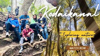 Kodaikanal diaries day 2  Kodaikanal trip  Kodaikanal vlog [upl. by Nichol]