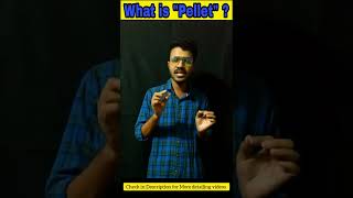 What is Iron Ore Pellet   Simple described by Subhajit Mondal  shorts pelletindustry pellet [upl. by Haliehs]