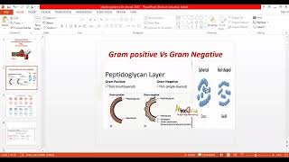 Pharmacology Antibiotics infectious diseases and how to diagnose and treat them Dr Ahmed Yasene [upl. by Terle]