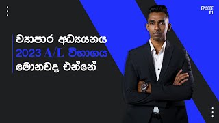 ව්‍යාපාර අධ්‍යයනය 2023 AL විභාගය මොනවද එන්නේ EP 1 [upl. by Ahsoem928]