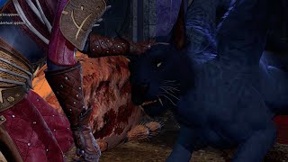 Petting the Displacer Beast Baldurs Gate 3 [upl. by Eneres473]