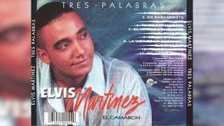 Elvis Martinez  En Bancarrota Audio Oficial álbum Musical Tres Palabras  2002 [upl. by Eiram776]