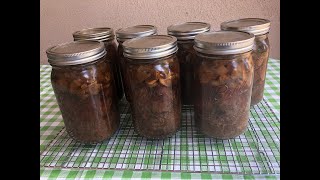 Pressure Canning Beef Stroganoff [upl. by Aiehtela]