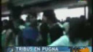 Peleas abasto cumbieros floggers [upl. by Ahsienak]