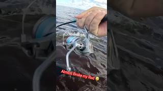 Redfish Fight Different fishing okumafishingusa inshorefishing bassfishing redfish [upl. by Samid624]