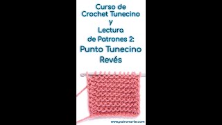 Curso Crochet Tunecino 2 Punto Tunecino Revés Símbolo Nombres y Abreviaturas en Patrones shorts [upl. by Terrena]