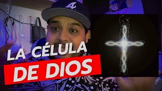 LA MOLÉCULA DE DIOS LAMININA PREDICAS CRISTIANAS [upl. by Eidda937]